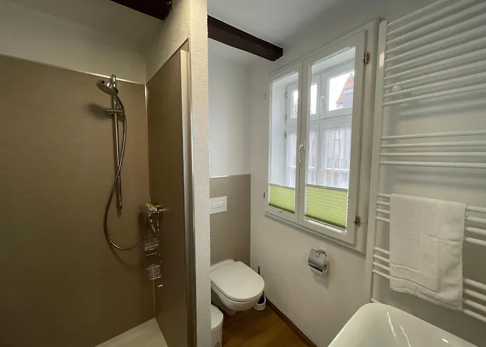 Апартаменты Mit Dachterrasse No11 Кведлинбург